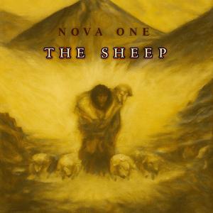 The Sheep