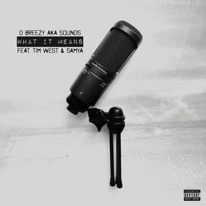 What It Means (feat. Tim West & Samya) [Explicit]