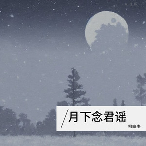 月下念君谣封面