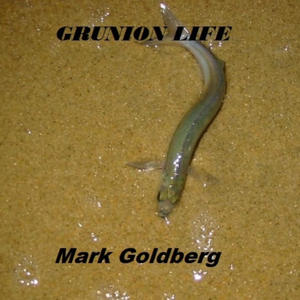 Grunion Life (2024 Edition)