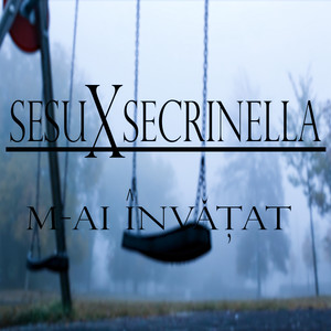 M-ai Invatat (Explicit)