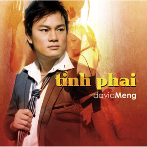 Tinh Phai