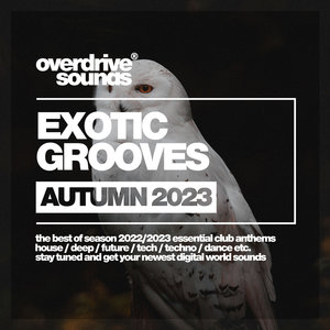 Exotic Grooves 2023