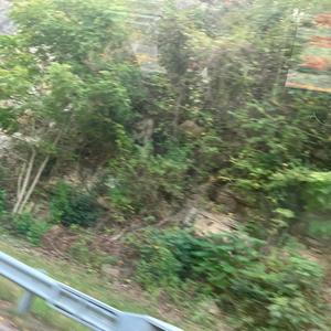 where's the other side green (Explicit)