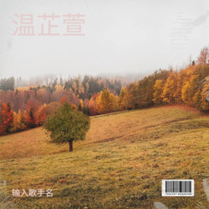 温芷萱 - 爱的代价