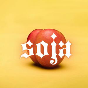 Soja (feat. Jondizzo) (Explicit)