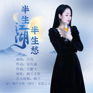 半生江湖半生愁