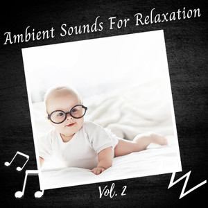 Ambient Sounds For Relaxation Vol. 2