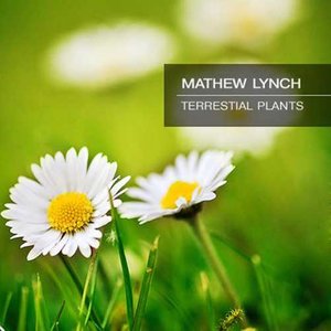 Wakefulness (Original Mix)