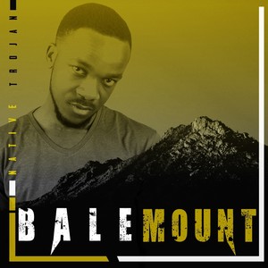 Balemount