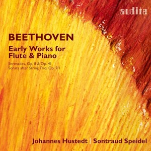Johannes Hustedt - Sonatina in C Major, WoO 44a - Allegro (Arr. for Flute and Piano by Johannes Hustedt) (Bonus Track)
