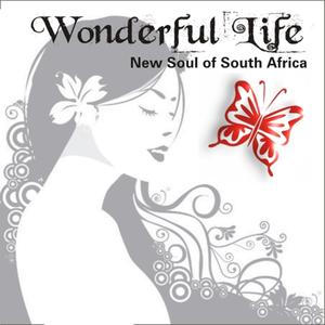 Wonderful Life (New Soul of South Africa)