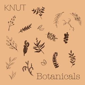 Botanicals