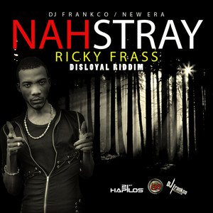 Nah Stray - Single