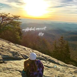 Neighborhood Narcissist