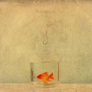 クラゲ、流れ星