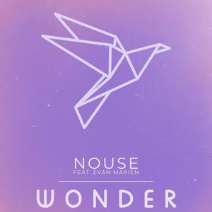 Wonder (feat. Evan Marien)