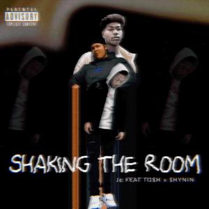 Shaking The Room (feat. $hynin & To$h) [Explicit]