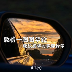 数着一圈圈年轮我认真将心事都封存（年轮） (伴奏)