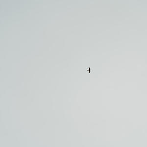 One Day (feat. KOUAKOU)