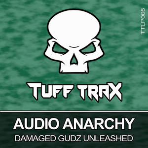 Audio Anarchy: Damaged Gudz Unleashed (Explicit)