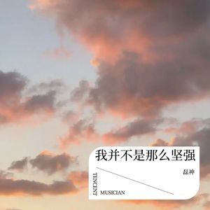磊神 - 我并不是那么坚强