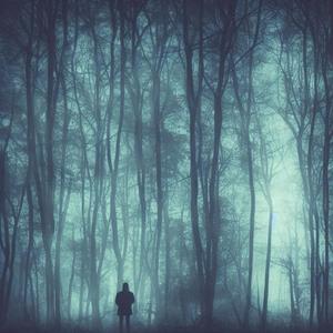 Deep Inside The Woods