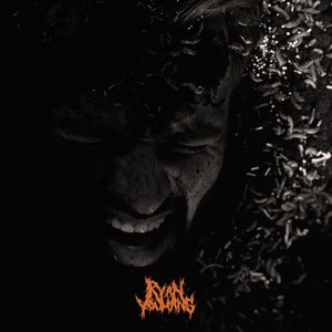 Animal (Explicit)