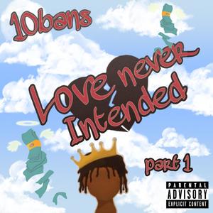 LOVE NEVER INTENDED (Explicit)