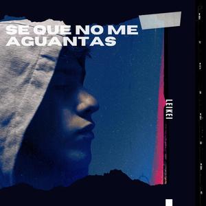 Sé Que No Me Aguantas (Versión especial)