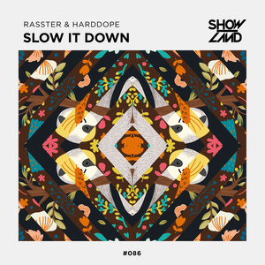 Slow It Down (慢下来)