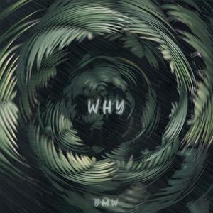 why (Explicit)