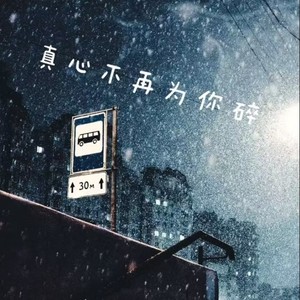 真心不再为你碎