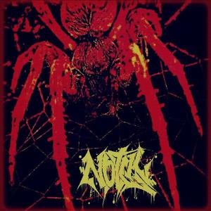 TARANTULA (Explicit)