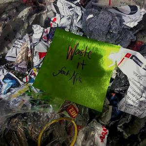 Waste It(feat. Nik Huey) (Explicit)