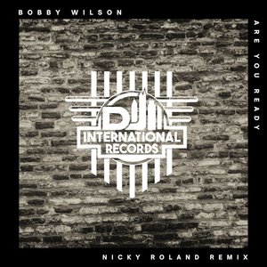 Are You Ready (Nicky Roland Remix)