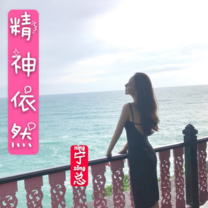 我走后 (DJ宁总版)封面