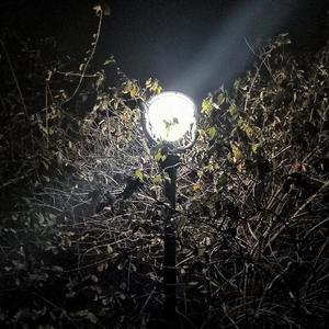 啵 (情感研究所remix)