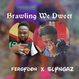 Brawling We Dweet (feat. Slyngaz) [Explicit]