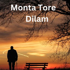 Monta Tore Dilam