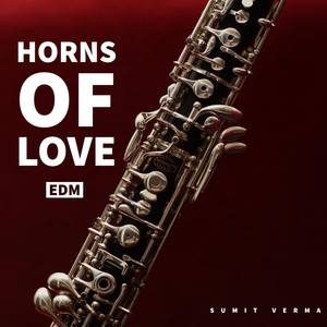 Horns Of Love EDM