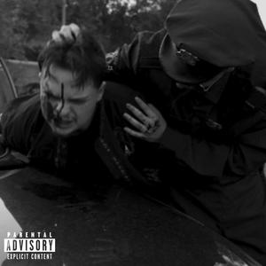 ***** Moonlight (Explicit)