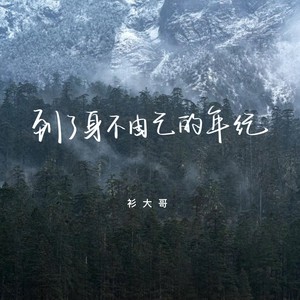 到了身不由己的年纪