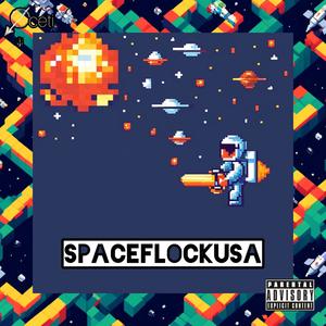 SPACEFLOCKUSA