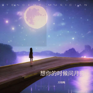 想你的时候问月亮 (演奏版)