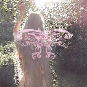 butterflies on my windowsill