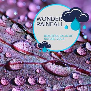 Wonder Rainfall - Beautiful Calls of Nature, Vol.4