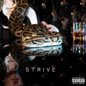 STRIVE (Explicit)