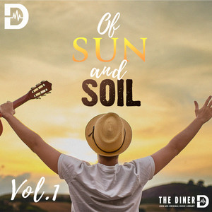 Folkie (Alt Mix)
