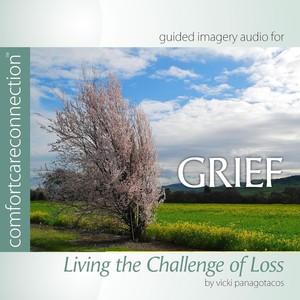 Grief: Living the Challenge of Loss(feat. Vicki Panagotacos, PhD, FT)